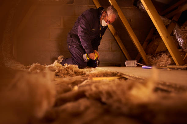 Best Eco-Friendly or Green Insulation Solutions  in Green Knoll, NJ